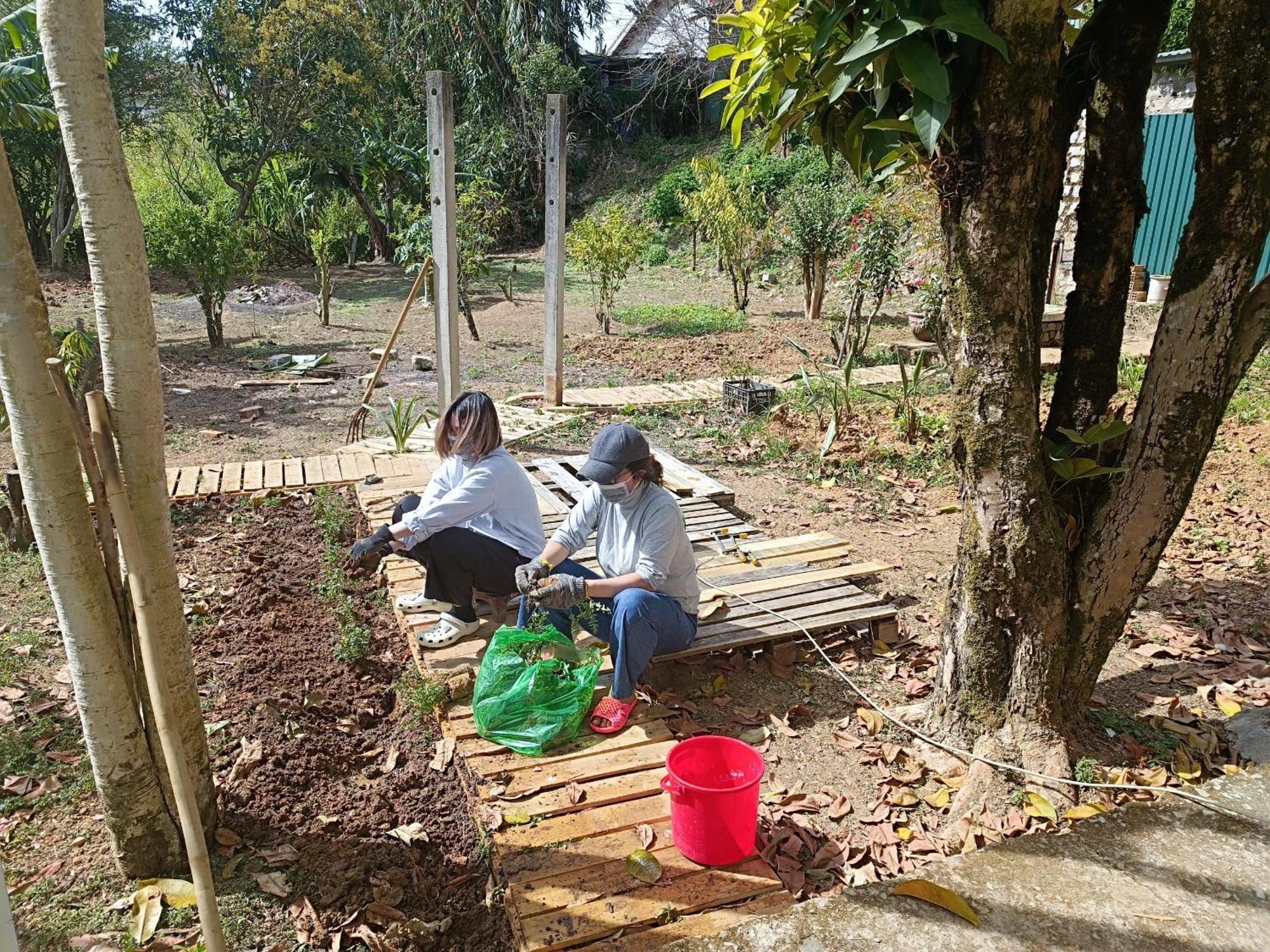 דירות The Burrow Dalat מראה חיצוני תמונה